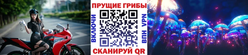 где продают наркотики  Альметьевск  Псилоцибиновые грибы Psilocybine cubensis 