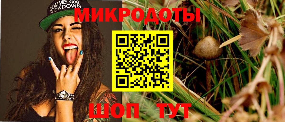 Псилоцибиновые грибы Psilocybe  Вход с VPN  Альметьевск 
